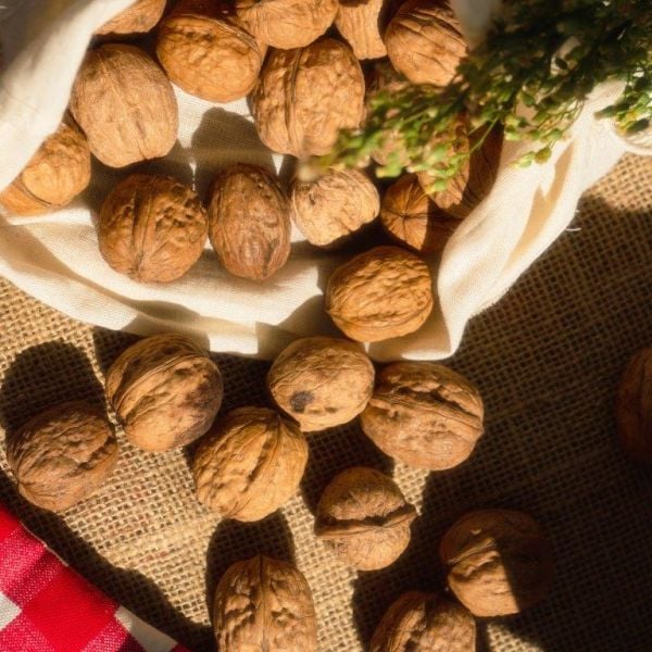 Kuru Kabuklu Ceviz 5 Kg.