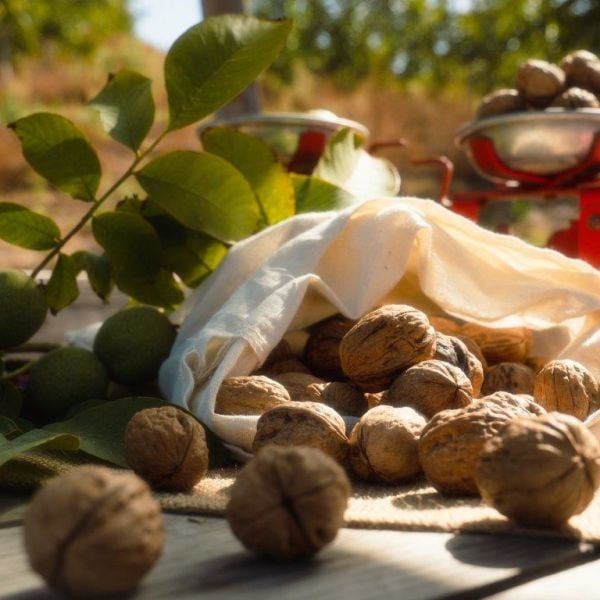 Kuru Kabuklu Ceviz 5 Kg.