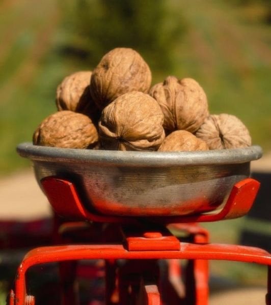 Kuru Kabuklu Ceviz 10 Kg.