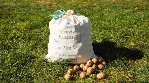 Kuru Kabuklu Ceviz 3 Kg.