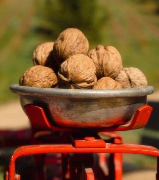 Kuru Kabuklu Ceviz 3 Kg.